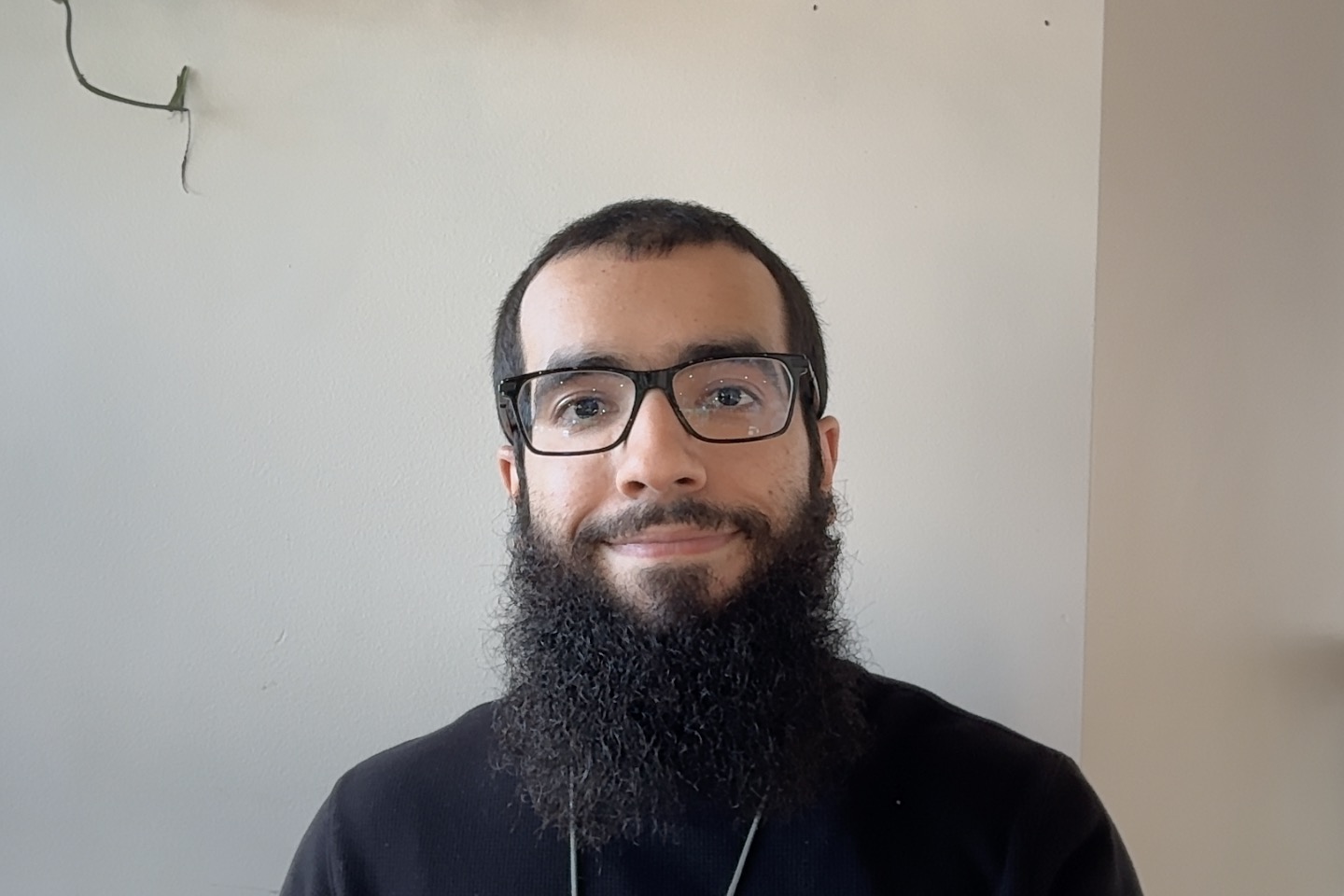 Adnan Wazwaz, founder of Torshesys